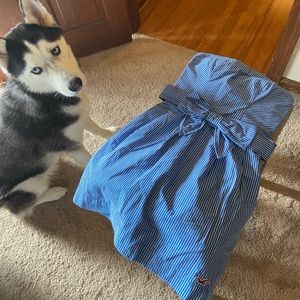 💥NWT💥 Hollister Dress